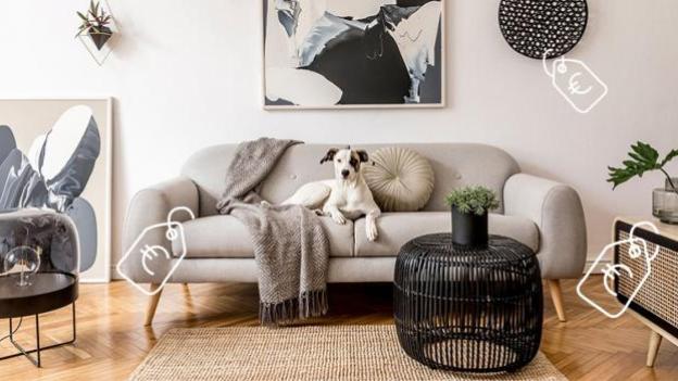 Aegon hond woonkamer
