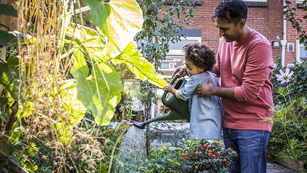 Aegon biodiversiteit