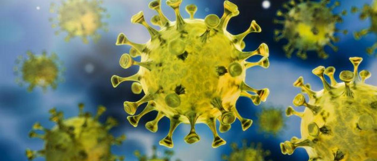 Coronavirus