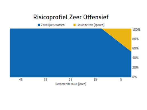 Risicoprofiel zeer offensief