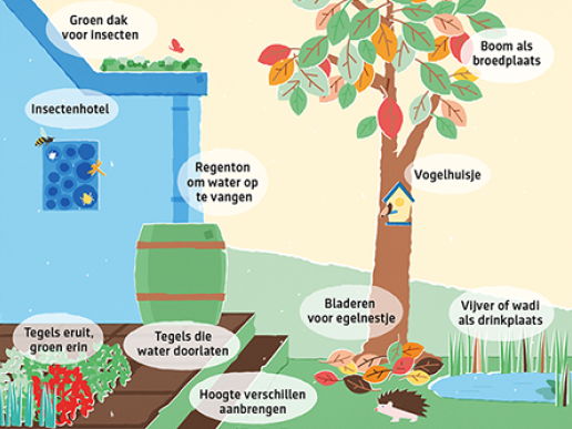 inforgraphic